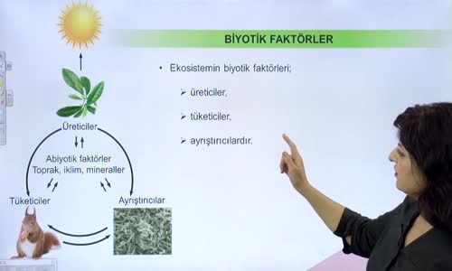 EBA BİYOLOJİ LİSE - EKOLOJİ VE GÜNCEL ÇEVRE SORUNLARI - EKOSİSTEMDE CANLILARI ETKİLEYEN BİYOTİK FAKTÖRLER - ÜRETİCİLER, TÜKETİCİLER, AYRIŞTIRICILAR