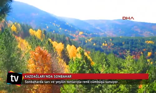 Kazdağları'nda Sonbaharda Renk Cümbüşü