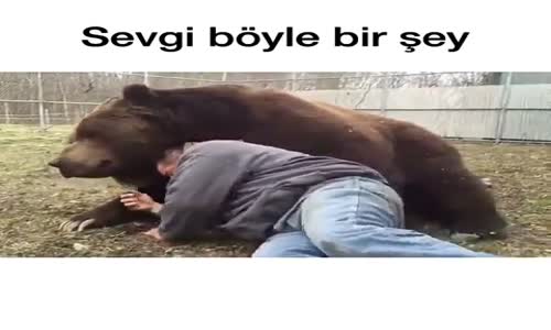 Sevgi Böyle Birşey