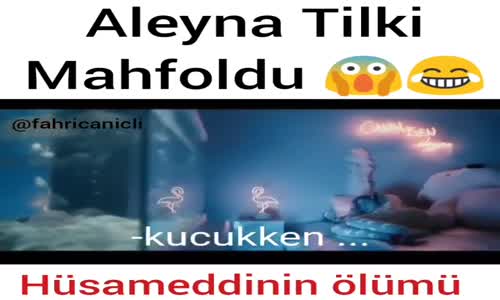 Aleyna Tilki-Hüsameddin (Dublaj)