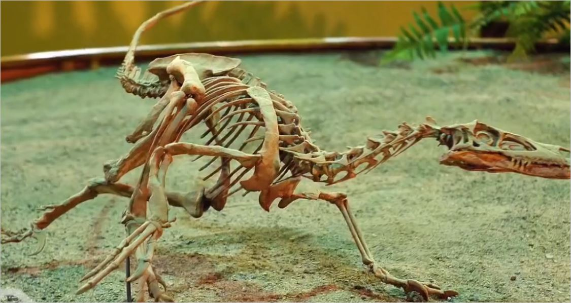 Filmlerde Velociraptor Dinozoru Gerçekte Hayatta Nasıldı