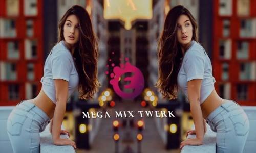 Mega Mix Twerk