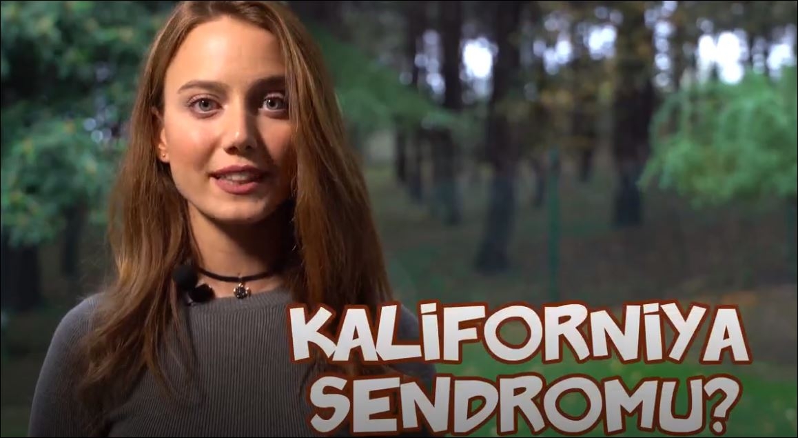 Kaliforniya Sendromu Nedir