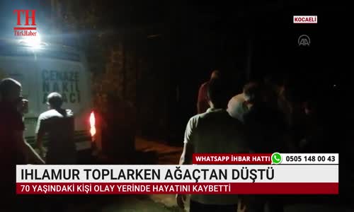 IHLAMUR TOPLARKEN AĞAÇTAN DÜŞTÜ