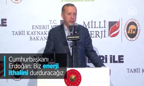 'Biz Enerji İthalini Durduracağız'