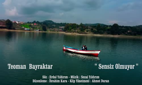 Teoman Bayraktar - Sensiz Olmuyor