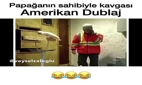 Yuvasını Dağıtan Sahibine Gider Yapan Papağan (Amerikan Dublaj)