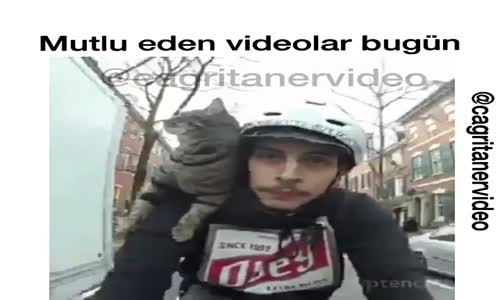 Kediyle Adamın Bisiklet Turu