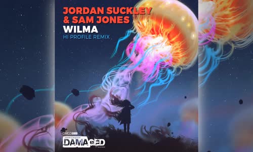 Jordan Suckley & Sam Jones - Wilma (Hi Profile Remix)