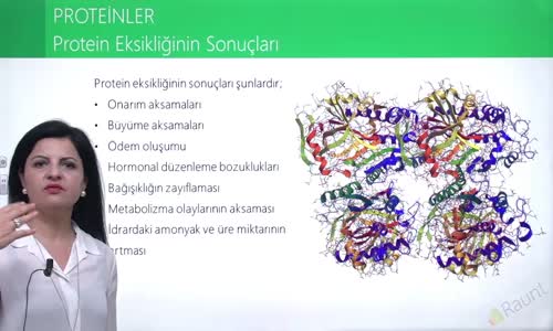 EBA BİYOLOJİ LİSE - CANLILARIN YAPISINDA BULUNAN TEMEL BİLEŞİKLER - PROTEİNLER - PROTEİN EKSİKLİĞİNİN SONUÇLARI