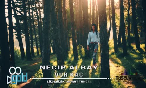 Necip Albay - Vur Kaç