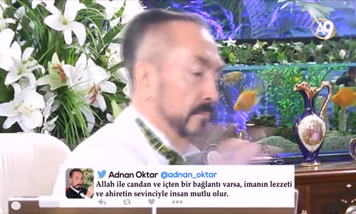 Adnan Oktar'ın Dansıyla Kedicikleri Coşturması