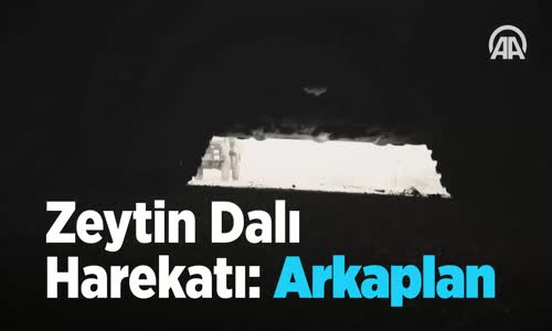 Zeytin Dalı Harekat  Arkaplan 