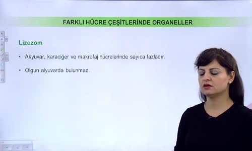 EBA BİYOLOJİ LİSE - CANLILARIN TEMEL BİRİMİ HÜCRE - HÜCRESEL YAPILARIN ÖZELLİKLERİ VE HÜCRELERİN KARŞILAŞTIRILMASI - FARKLI HÜCRE ÇEŞİTLERİNİN ORGANELLER