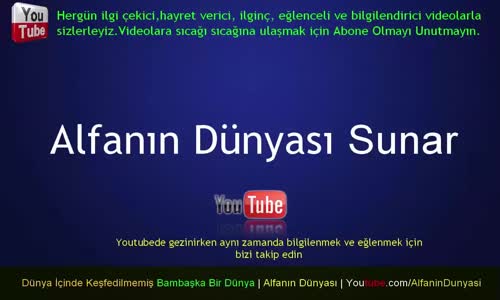 Dünyanın En İlginç 10 Çiçeği