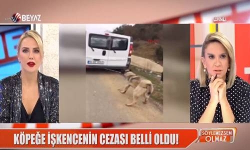 Köpeğe İşkencenin Cezası Belli Oldu