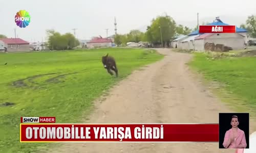 Otomobille yarışa girdi