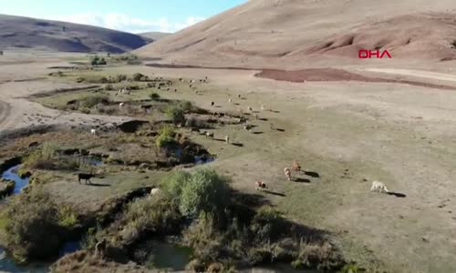 Bayburt’ta fosiller bulunan alan koruma altına alındı