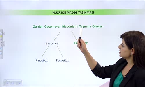 EBA BİYOLOJİ LİSE - CANLILARIN TEMEL BİRİMİ HÜCRE - HÜCRE ZARINDA MADDE ALIŞVERİŞİ  AKTİF TAŞIMA, ENDOSİTOZ VE EKZOSİTOZ - EKZOSİTOZ