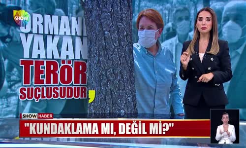 ''Orman yakan terör suçlusudur''