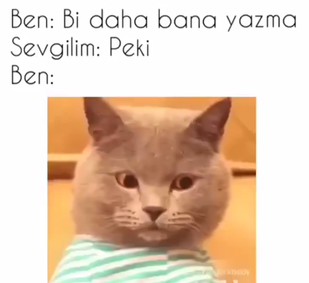 Sevgilim Yazma Deyince Ben