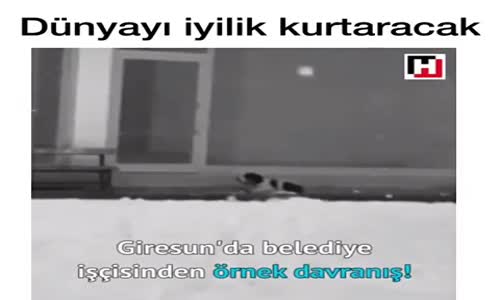 Adamın Yufka Yüreği