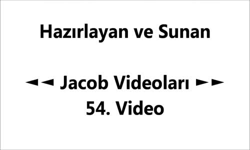 Kangal mı? Pitbul mu? Cevabı Siz Verin!