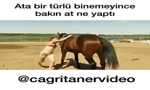 Ata Binemeyen Kıza Attan İbretlik Ayar