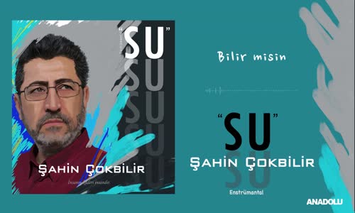 Şahin Çokbilir - Bilir Misin