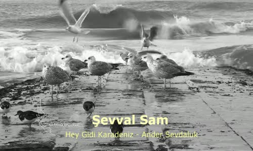 Şevval Sam Hey Gidi Karadeniz