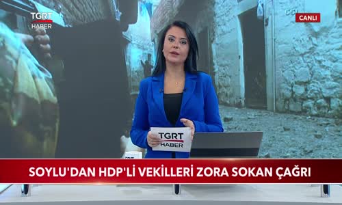 Bakan Soylu'dan HDP'li Vekilleri Zora Sokan Çağrı 