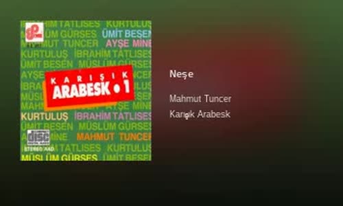 Mahmut Tuncer Neşe