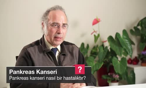 Pankreas Kanseri Nasıl Bir Hastalıktır