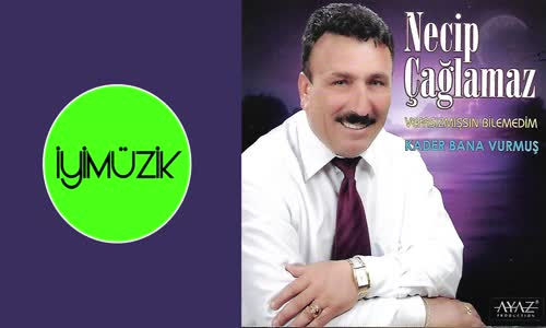 Necip Çağlamaz - Berduş Berduş Gezersin