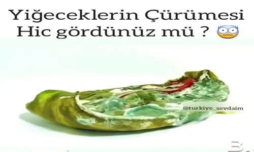 Yiyeceklerin Çürümesi