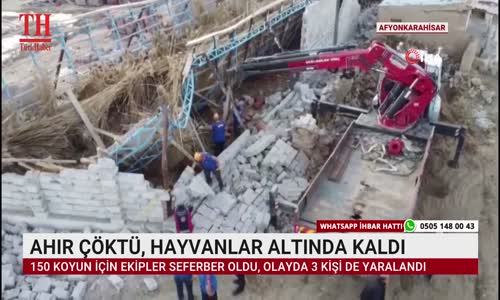 AHIR ÇÖKTÜ, HAYVANLAR ALTINDA KALDI