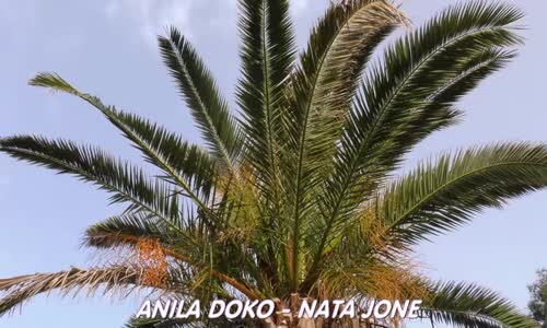 Anila Doko - Nata Jone 