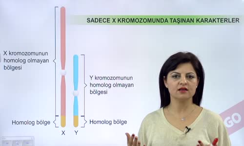 EBA BİYOLOJİ LİSE - KALITIMIN GENEL İLKELERİ - EŞEYE BAĞLI KATILIM I - SADECE X KROMOZOMU ÜZERİNDE TAŞINAN KARAKTERLER