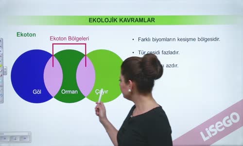 EBA BİYOLOJİ LİSE - EKOLOJİ VE GÜNCEL ÇEVRE SORUNLARI - EKOLOJİK KAVRAMLAR - EKOTON, SÜKSESYON, FLORA, FAUNA