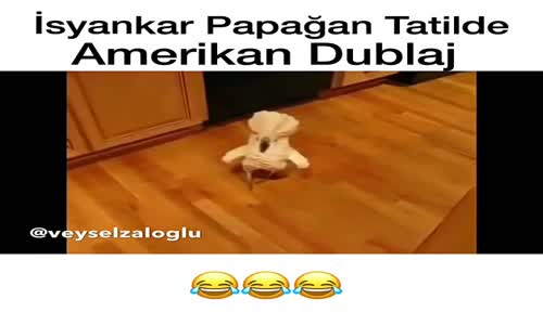 İsyankar Papağan Tatilde - Amerikan Dublaj