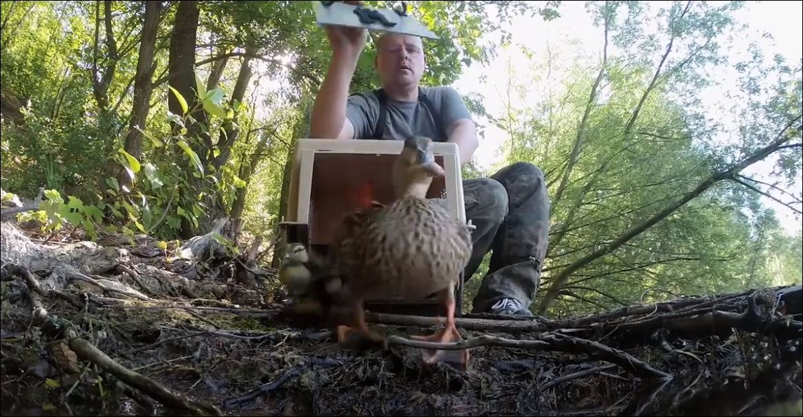 2017 Yılında Kaydedilen GoPro Derlemesi