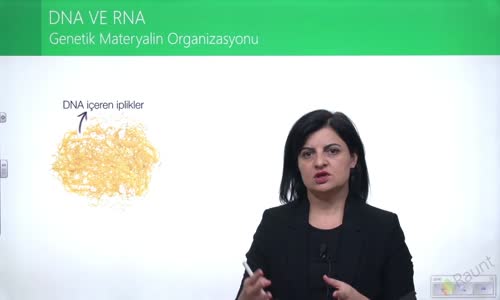 EBA BİYOLOJİ LİSE - NÜKLEİK ASİTLERİN KEŞFİ VE ÖNEMİ - DNA VE RNA - GENETİK MATERYALİN ORGANİZASYONU