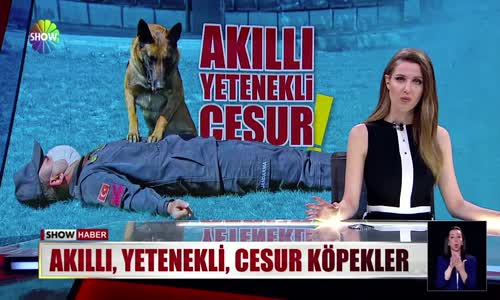 Akıllı yetenekli cesur!