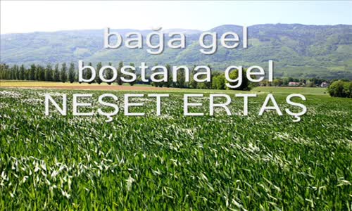 Neşet Ertaş Bağa Gel Bostana Gel