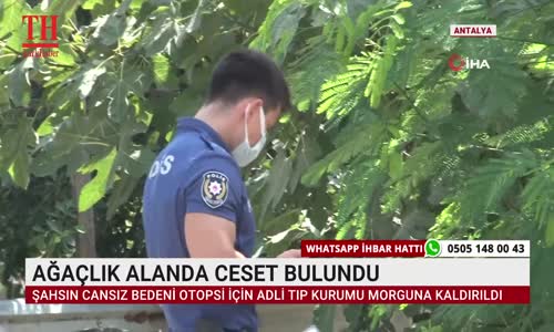 AĞAÇLIK ALANDA CESET BULUNDU