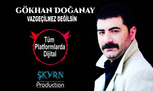 Gökkhan Doğanay - Vazgeçilmez Değilsin