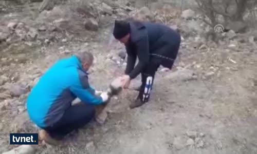 Kafası Bidona Sıkışan Köpek İçin Seferber Oldular