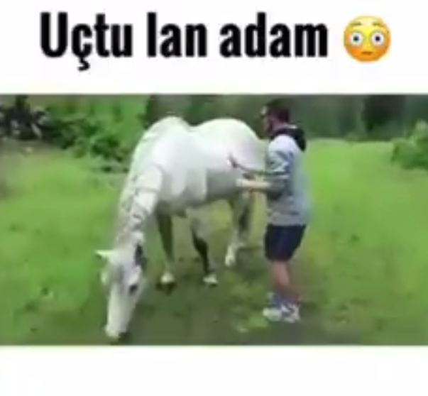 Adamı Uçuran At