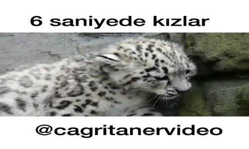 6 Saniyeden Kızlar