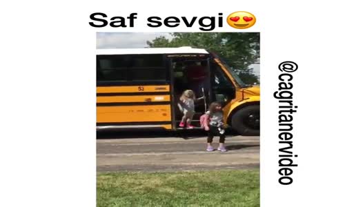 Saf Sevgi